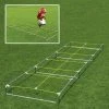 Conditioning Agility Master High Step Trainer By Fisher Athletic
